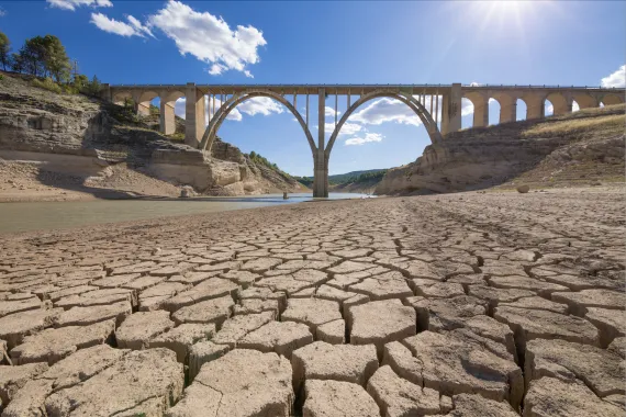 A dry, cracked river bed baking in the sun.