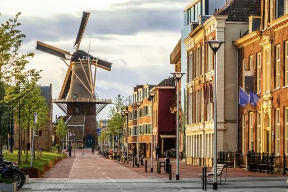 Dutch auto-te-gast street with windmill in background