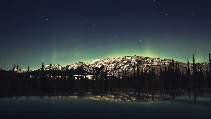 tall trees and mountains with a night sky of stars