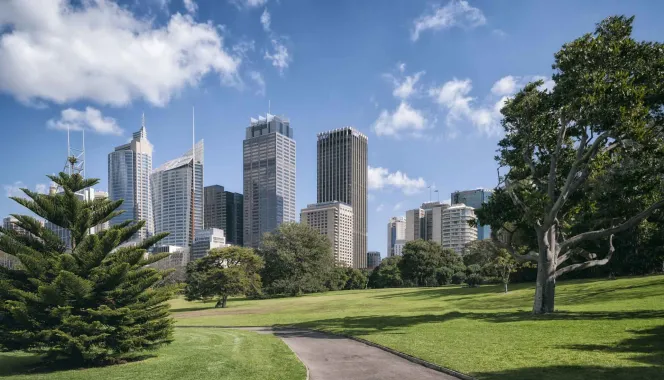 park with buildings in background