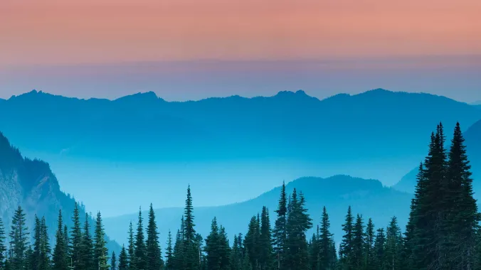 mountains and trees at dawn