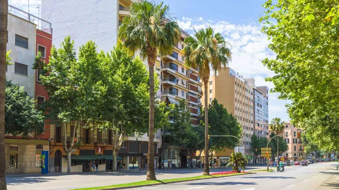 street with buildings and trees