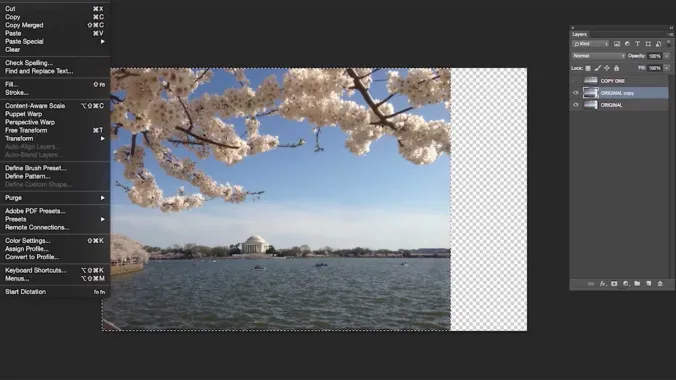 screenshot of photoshop manipulation