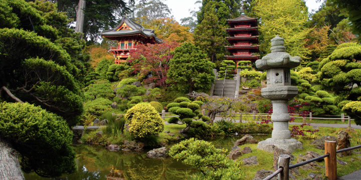 The Japanese Tea Garden in Golden Gate Park.