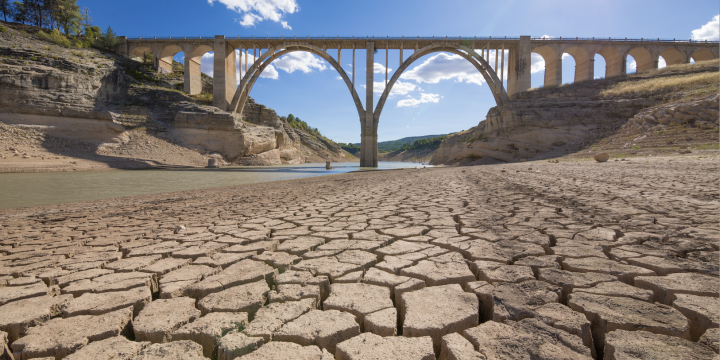 A dry, cracked river bed baking in the sun.
