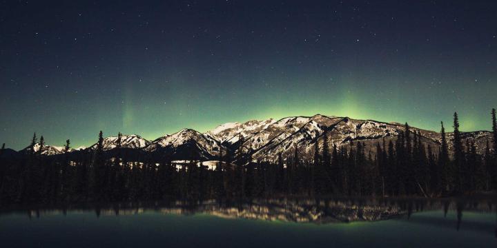 tall trees and mountains with a night sky of stars