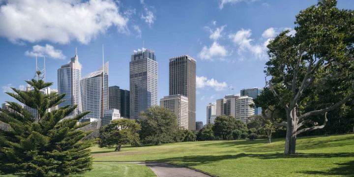 park with buildings in background