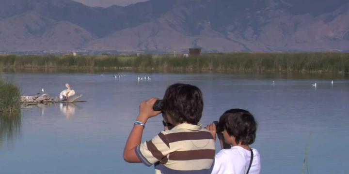 couple viewing land with binoculars for urban planning course