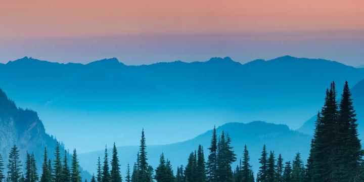 mountains and trees at dawn