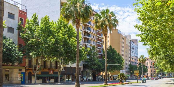 street with buildings and trees