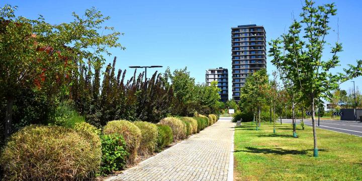 leed buildings with green space in foreground