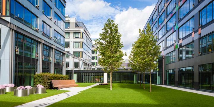 office buildings surrounding small park