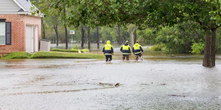 The Role of Social Capital in Resilience Planning