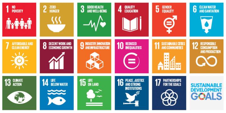 graphic of the 17 United Nations Sustainable Development Goals