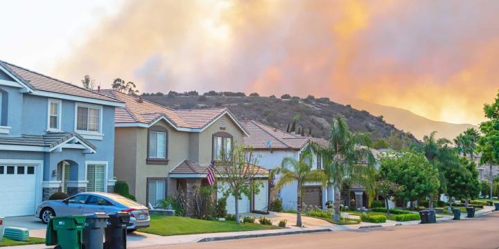 wildfire on a hill behind a row of suburban homes