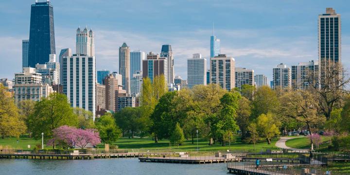 chicago skyline and lincoln park 